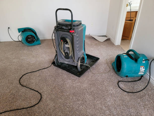 Best Local water damage restoration  in Yosemite Lakes, CA
