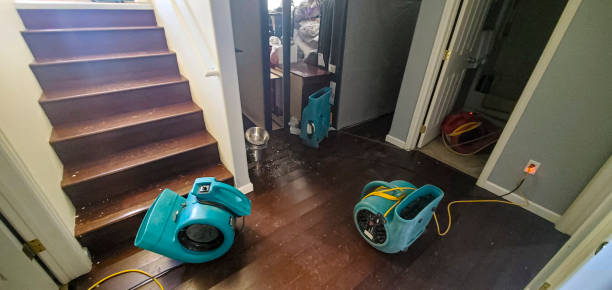 Best Basement water damage restoration  in Yosemite Lakes, CA