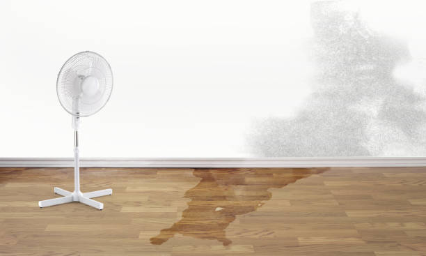 Best Fire Damage Restoration  in Yosemite Lakes, CA