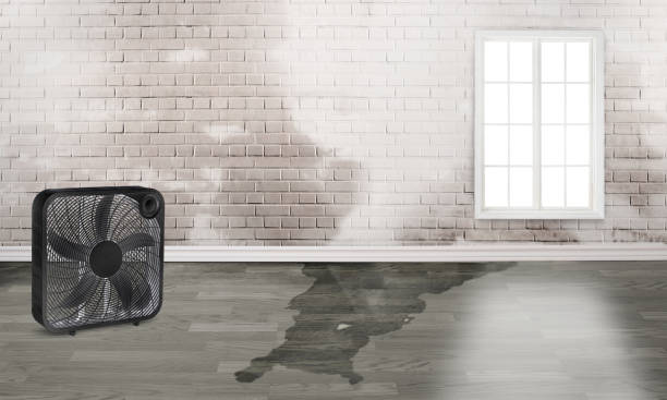 Water damage restoration insurance claims in CA