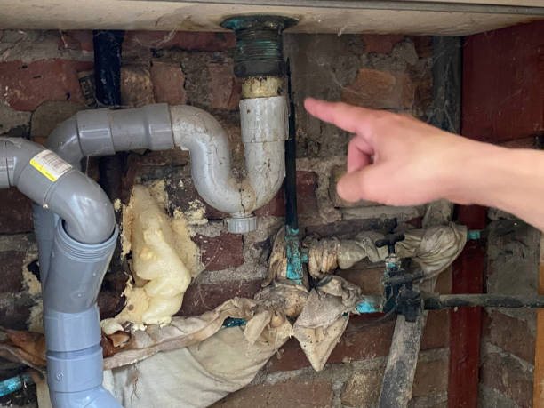 Best Mold removal after water damage  in Yosemite Lakes, CA