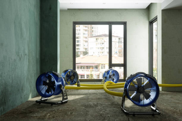 Best Flood restoration services  in Yosemite Lakes, CA